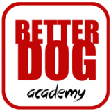 <h5>Better Dog Academy</h5>