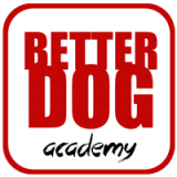 Better Dog